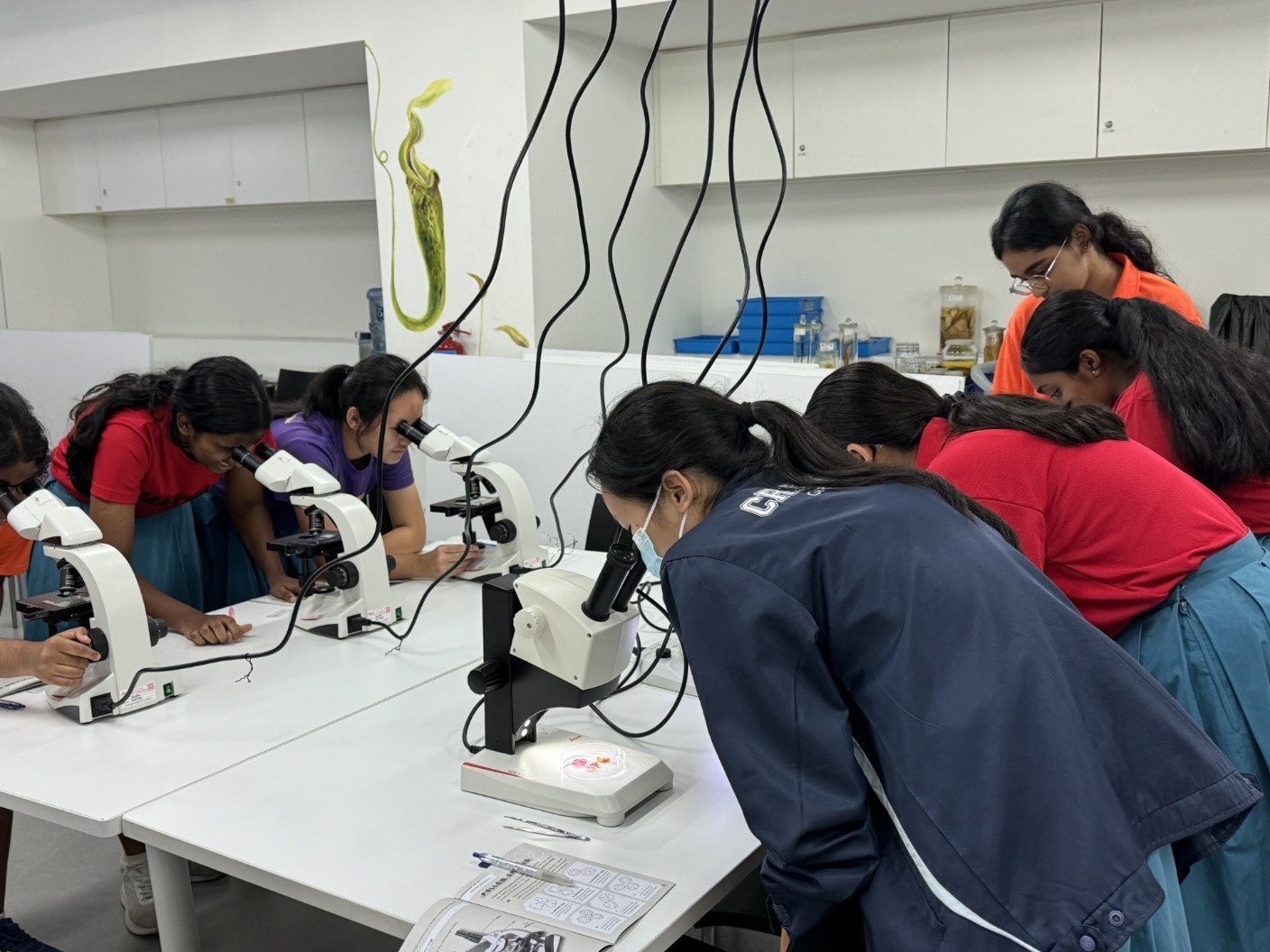 Crescentians examining specimens using stereomicroscopes